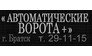 Автоматические ворота +